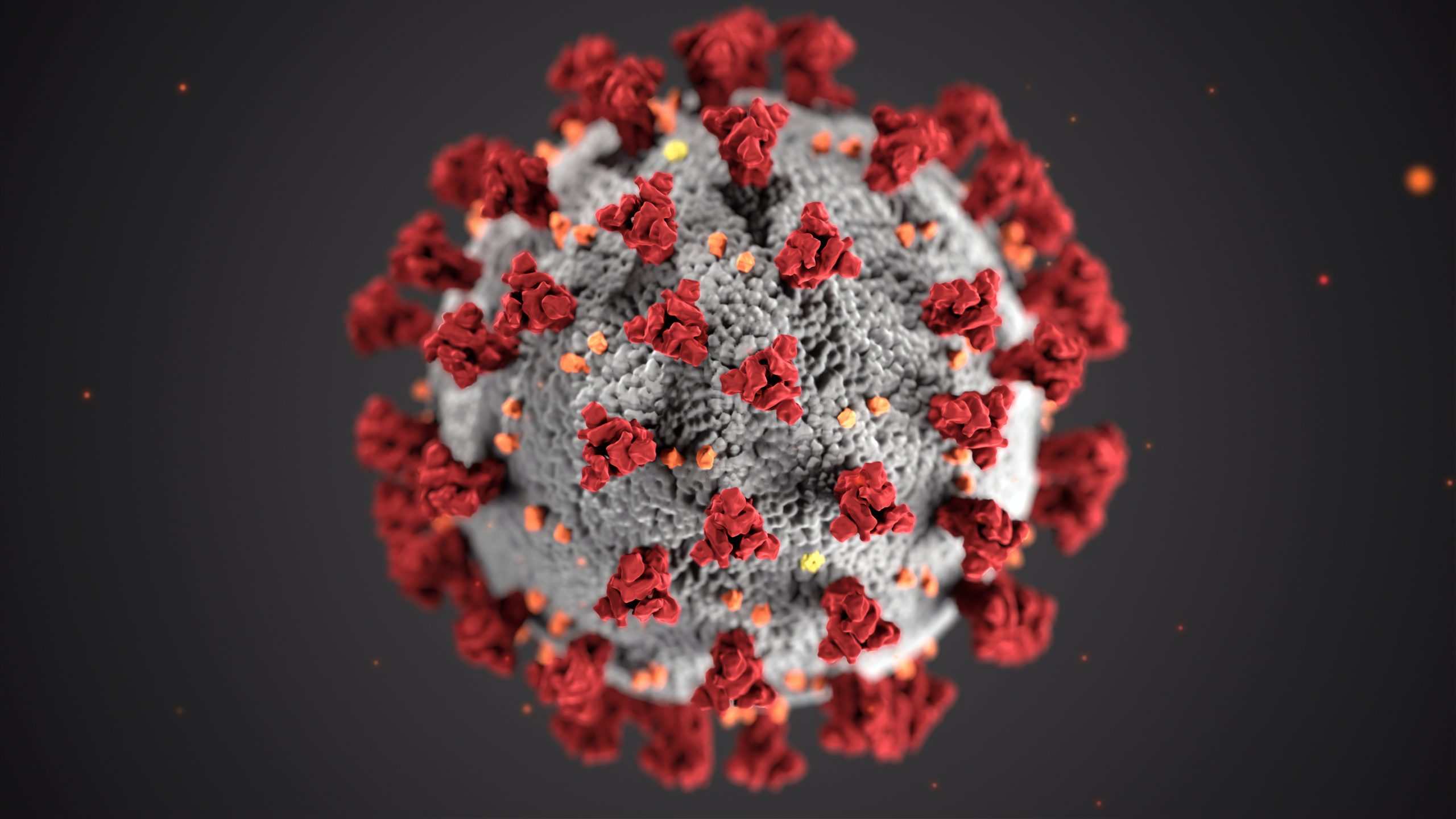 Coronavirus: A Contractual Analysis